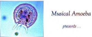 Musical Amoeba